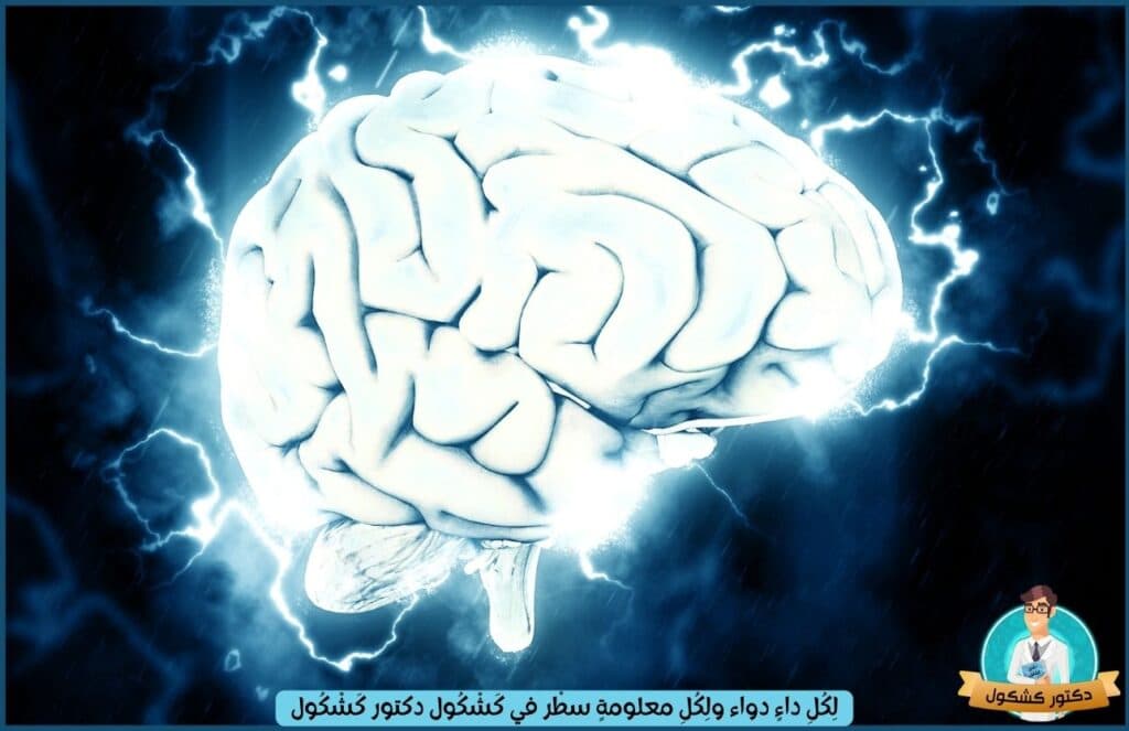 كهرباء المخ